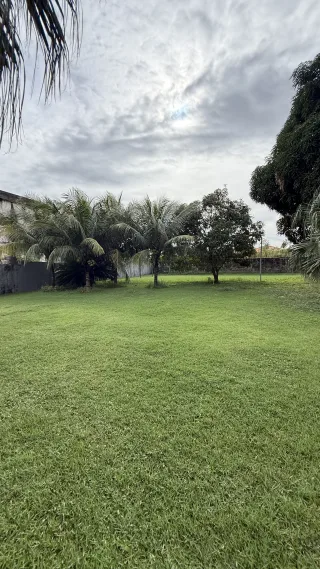 Mansão Salinas