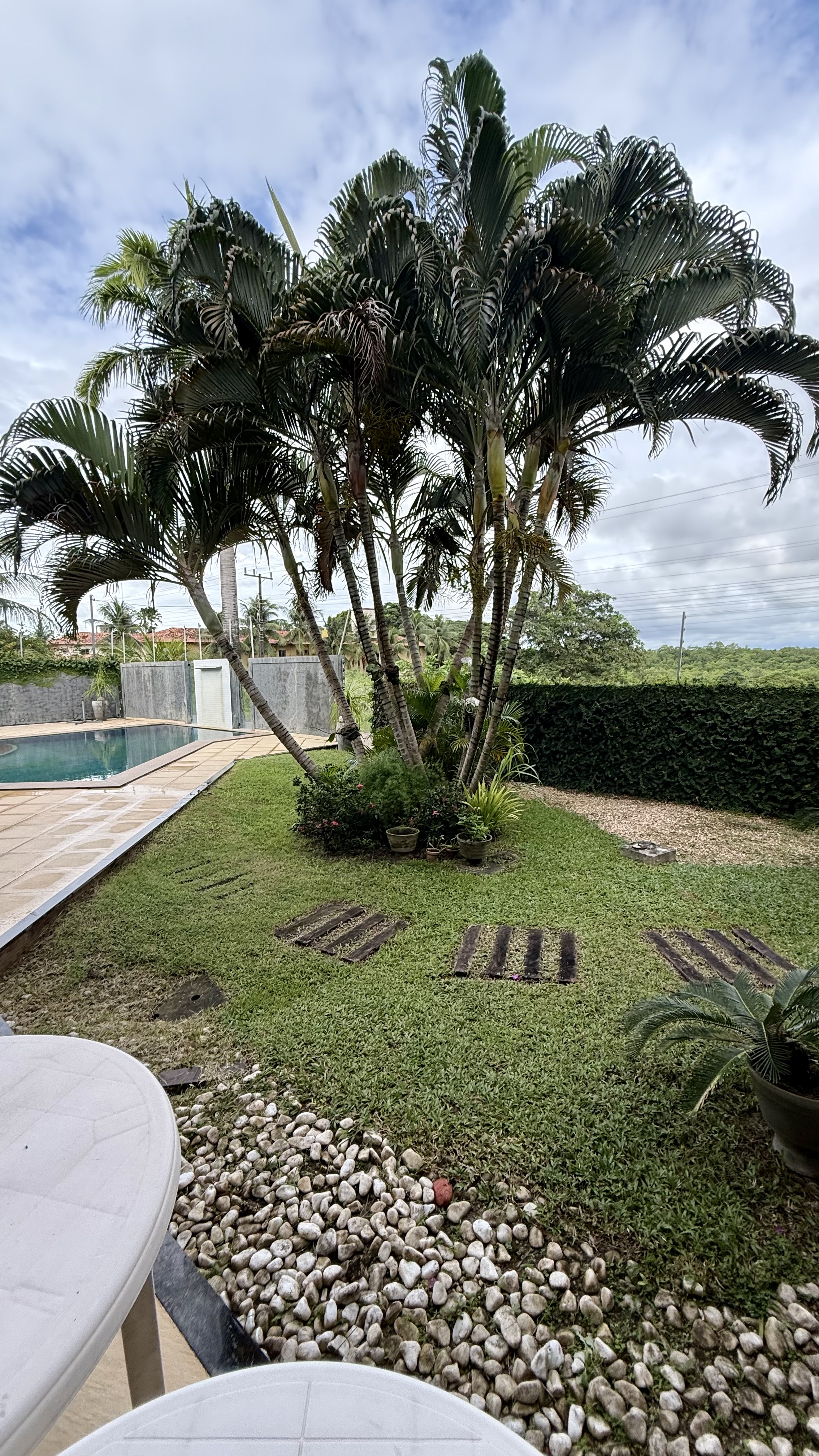 Mansão Salinas